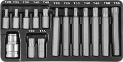 Набор вставок-бит 10 мм  TORX® (30 и 75 мм), Т20-Т55, 15 предметов - фото 45566