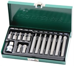 Набор вставок-бит 10 мм  TORX® (30 и 75 мм), Т20-Т55, 15 предметов - фото 45567