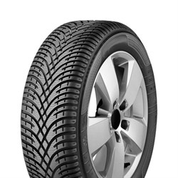 BFGoodrich 205/40/17 V 84 G-Force Winter 2 - фото 47277