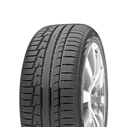 Nokian Tyres 205/55/17 V 95 WR A3 - фото 49298