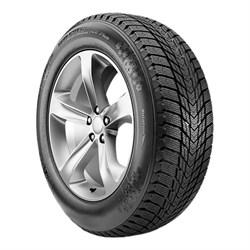 Roadstone 205/50/17 T 93 WINGUARD ICE PLUS - фото 68353