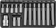 Набор вставок-бит 10 мм TORX® (30 и 75 мм), Т20-Т55, 15 предметов