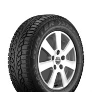 Pirelli 245/45/17 T 99 W Carving Edge XL 2012 Ш.